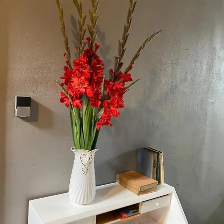 Apartment Rustic